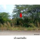 ขายที่ดินว่างเปล่า โครงการ บางไทรเวลเนสโฮม  พระนครศรีอยุธยา