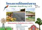 ขายที่ดิน ทำสวนเกษตร แบ่งขาย 1-4 ไร่ ประชาสำราญ