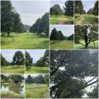 สวนทุเรียนล้วน 34 ไร่ ต้นสวยเก็บผลได้แล้ว !!! 