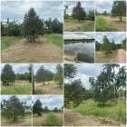 สวนทุเรียนโต 1ไร่ 1งาน แหล่งน้ำดี️