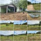 บ้านสวนทุเรียน 6 ไร่ ที่สวย/ถนนคอนกรีต