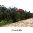 ขายที่ดินว่างเปล่า ต.ควนชะลิก อ.หัวไทร จ.นครศรีธรรมราช