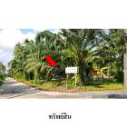 ขายที่ดิน ถนน มะม่วงทอง ต.ปากพูน อ.เมือง จ.นครศรีธรรมราช