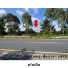 ขายที่ดิน ต.นาสาร อ.พระพรหม จ.นครศรีธรรมราช