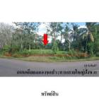 ขายที่ดินว่างเปล่า ต.ละมอ อ.นาโยง จ.ตรัง