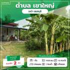 ขายที่ดินพร้อมบ้าน + สิ่งปลูกสร้าง เนื้อที่ ทั้งหมด 1ไร่ 2งาน 10.