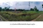 ขายที่ดินว่างเปล่ามือสอง    อำเภอหนองเสือ ปทุมธานี