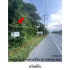 ขายที่ดิน ต.ท่าศาลา อ.ท่าศาลา จ.นครศรีธรรมราช
