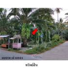 ขายที่ดินว่างเปล่า ถนน มะม่วงทอง ต.ปากพูน อ.เมือง จ.นครศรีธรรมราช