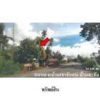 ขายบ้านเดี่ยว ถ.บ้านเขาชัยสน-บ้านสะทัง ต.เขาชัยสน อ.เขาชัยสน จ.พั