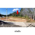 ขายที่ดิน ตำบล ตากแดด อำเภอ เมืองพังงา จังหวัด พังงา