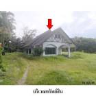 ขายบ้านเดี่ยว ต.ม่วงกลวง อำเภอ กะเปอร์ จังหวัด ระนอง