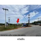 ขายที่ดินว่างเปล่า ต.กายูบอเกาะ อ.รามัน จ.ยะลา