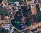 ขายที่ดิน โนนฝรั่ง หัวทะเล นครราชสีมา