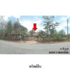 ขายบ้านเดี่ยว ถนน ราชมานิต ตำบล นาทวี อำเภอ นาทวี จังหวัด สงขลา