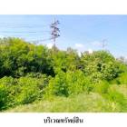 ขายที่ดินว่างเปล่า ต.ท่าบอน อำเภอ ระโนด จังหวัด สงขลา