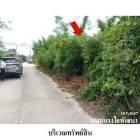 ขายที่ดินว่างเปล่า ถนน แรงใจพัฒนา ตำบล นาทวี อำเภอ นาทวี จังหวัด 