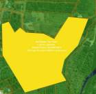 ขายที่ดินเปล่า หนองหญ้าปล้อง จ.เพชรบุรี (ใกล้ทางหลวง 3510 และ 101