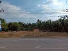 ขายที่ดิน 200 วา  ทำเลดี ติดถนน  นางตะเคียน  เมืองสมุทรสงคราม 