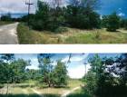 ขายที่ดินว่างเปล่ามือสอง  อำเภอตะกั่วป่า   พังงา