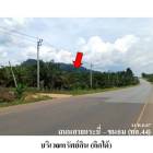 ขายที่ดินว่างเปล่า ต.บางสวรรค์ อ.พระแสง จ.สุราษฎร์ธานี