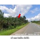 ขายที่ดินว่างเปล่า ต.บางสวรรค์ อ.พระแสง จังหวัด สุราษฎร์ธานี