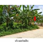 ขายที่ดินว่างเปล่า ถนน บ้านแค ตำบล บ่อแดง อำเภอ สทิงพระ จังหวัด ส