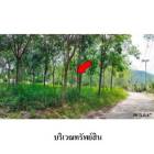 ขายที่ดินว่างเปล่า ตำบล หน้าเมือง อำเภอ เกาะสมุย สุราษฎร์ธานี