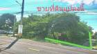 ที่ดิน ซอยร่วมใจพัฒนา ซ.1 ต.ศรีษะใหญ่ อ.บางเสาธง