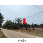 ขายที่ดินว่างเปล่า ต.นิคม อ.สหัสขันธ์ จ.กาฬสินธุ์