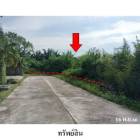 ขายที่ดินว่างเปล่า ถ.สายสุราษฎร์ธานี-นครศรีธรรมราช  กาญจนดิษฐ์ 