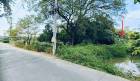 ที่ดินเปล่า บ้านงิ้วซอย15 (ซ.สวนมะม่วง) เนื้อที่ 103 ตรว. ถนนติวานนท์ ตำบลบ้านงิ้ว อำเภอสามโคก จังหวัดปทุมธานี