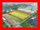 ขาย ที่ดิน ผังสีส้ม  สวนหลวง กระทุ่มแบน 8 ไร่กว่า ถนน 8 เมตร ใกล้ถ.พุทธสาครแค่ 2.3 กม. DD