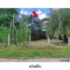 ขายบ้านเดี่ยว ถนน สายชุมแพ-ภูเขียว ชุมแพ จ.ขอนแก่น