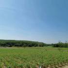 ขายที่ดินเขาคันทรง ศรีราชา แปลงสวย ทำเลดี เยื้องๆนิคมโรจนะ บ่อวิน