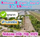 ที่ดินทำเลทองคลอง8 ลำลูกกา ปทุมธานี 1 ไร่