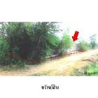 ขายที่ดินว่างเปล่าโครงการ ชุมชนบ้านอ้อคำ อ.ซำสูง จ.ขอนแก่น