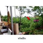 ขายที่ดินว่างเปล่า ถ.สายชัยภูมิ-ตาดโตน ต.รอบเมือง อ.เมือง จ.ชัยภู