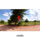 ขายที่ดินว่างเปล่า ต.โคกสูง อ.เมืองชัยภูมิ จังหวัด ชัยภูมิ