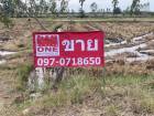 ขายด่วนที่ดินเปล่า อ.โนนแดง เนื้อที่ 11 ไร่ 93 ตร.ว. เพียง 1.1 ลบ