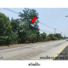 ขายที่ดินว่างเปล่า ต.โพนทอง อ.สีดา จ.นครราชสีมา