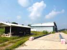 ขายโรงงานเกาะจันทร์ชลบุรี ขายที่ดินพร้อมโรงงาน/โกดังขนาดใหญ่ 19.8