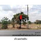 ขายที่ดินว่างเปล่า ต.กฤษณา อ.สีคิ้ว จ.นครราชสีมา