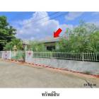 ขายบ้านเดี่ยวโครงการ เดอะไนน์ทรี ต.หนองบัวศาลา อ.เมือง จ.นครราชสี