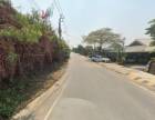 ขายที่ดิน 5-3-29.1 ไร่ ติดถนนอัจฉริยะประสิทธิ์ 1 ใกล้เซ็นทรัล เวสต์วิลล์