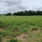 ขายที่ดินเขาคันทรง ศรีราชา ติดนิคมโรจนะ แปลงสวย ราคาดี