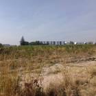 ขายที่ดินระยอง โซนมาบยางพร ปลวกแดง ใกล้นิคมอมตะซิตี้ นอกนิคม