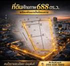 ขายที่ดินแปลงสวย 688 ตร.ว. แถมโชว์รูม บนถนนพิบูลสงคราม