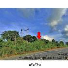 ขายที่ดินว่างเปล่า ต.ถลุงเหล็ก อำเภอ เมืองบุรีรัมย์ จังหวัด บุรีร