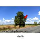 ขายที่ดินว่างเปล่า ต.บ้านจาน อำเภอ พุทไธสง จังหวัด บุรีรัมย์